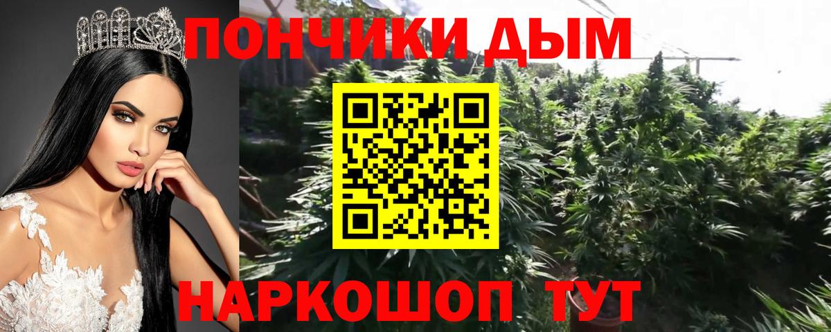 Конопля AK-47  Вход с VPN  Канабис конопля  Ртищево  Каннабис план 